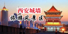 欧美超长越大鸡巴操美女在线观看中国陕西-西安城墙旅游风景区